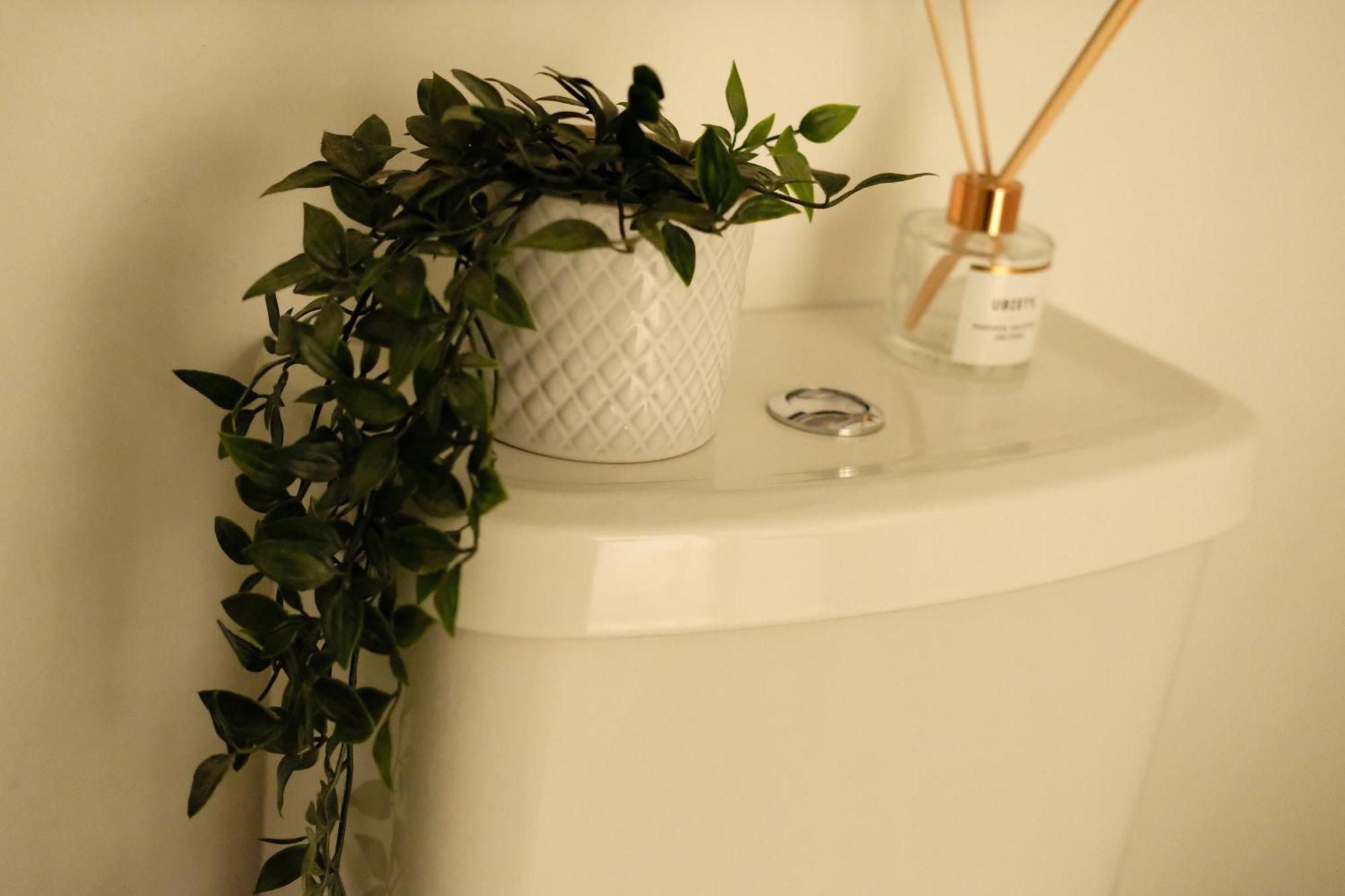 Spacious City Centre Apartment Bath Exteriör bild